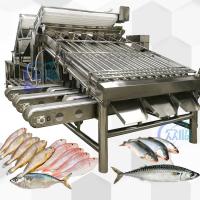 Acier inoxydable 304 Jaune Croaker Grader 12pcs rouleau de sardine Maquereau Grader