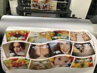 Single Faced Printing Page Paper Cup Printing Machine 1/8cp Gearing Fengming