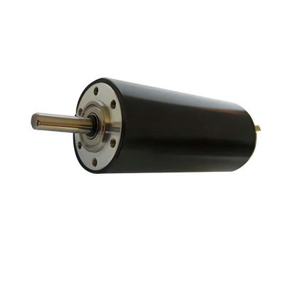 Moteur à courant continu à brossage de haute précision de 73 watts 7760 tr/min 30 mm 48 V Moteur électrique à courant continu pour automobile