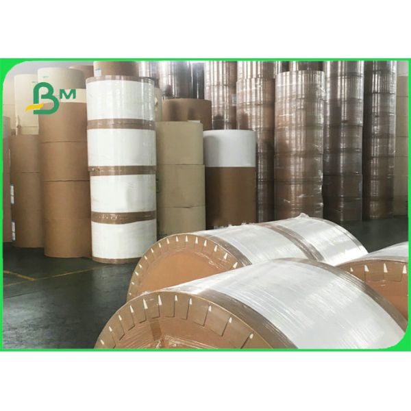 бумага Ролльс запаса чашки 190гсм 210гсм для мороженого полностью Ресиклабле 720мм 880мм