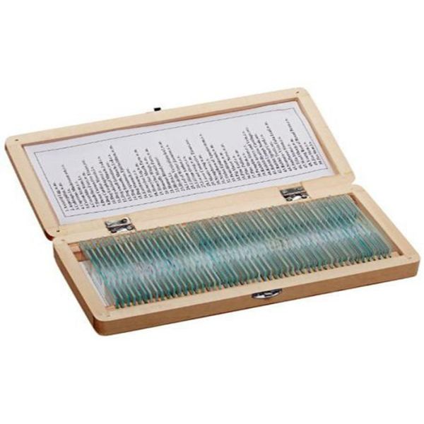 Pre Prepared 50pcs Microscope Glass Slides Mixed On Animal Plant And Insect