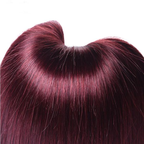 Silky Straight Virgin Brazilian 100 Human Hair Extensions 99J Color