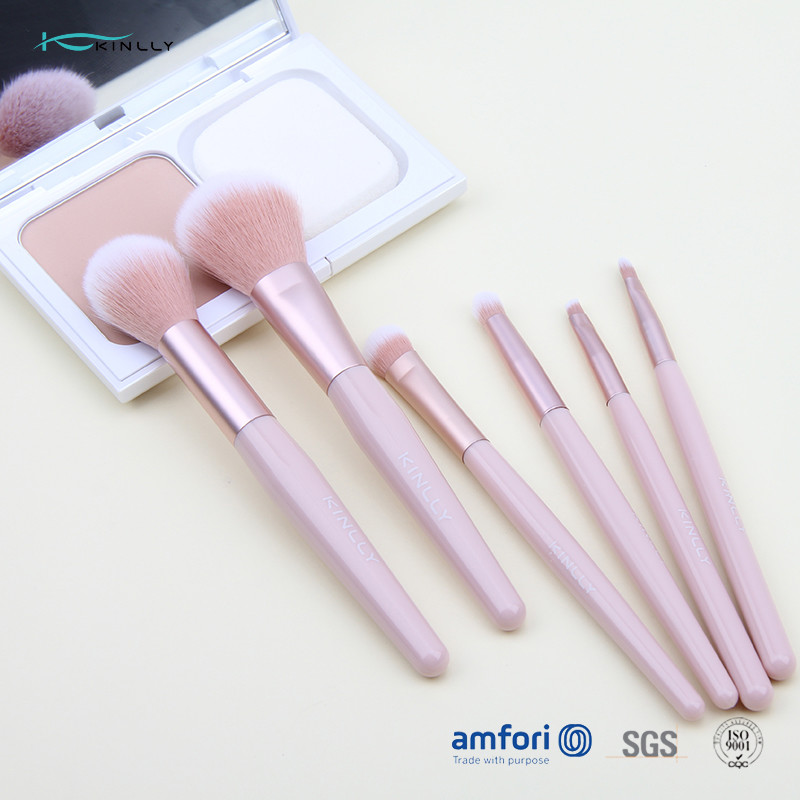 Алюминиевые щетки макияжа ручки пинка Ferrule 6PCS