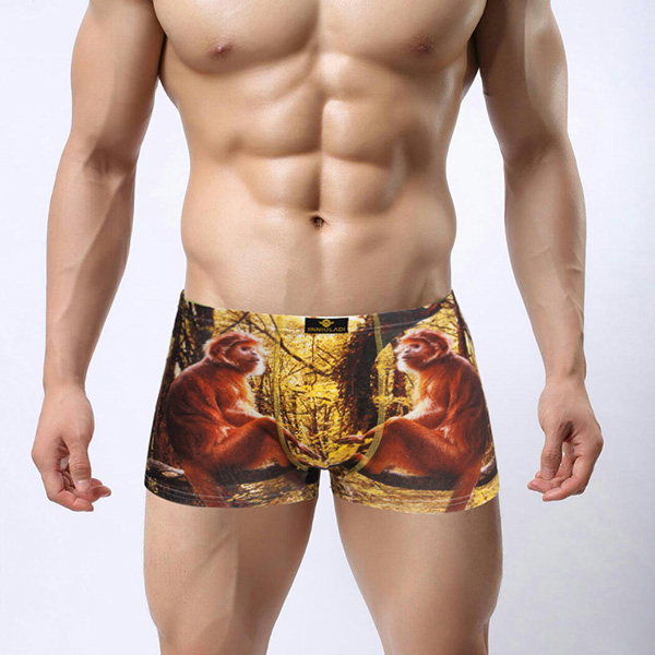 high quality men boxers shorts 4 colors underwear men 100% cotton sexy boxers comfortble c