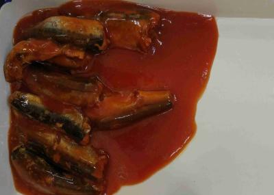 Peixes enlatados da sardinha no molho de tomate nas latas