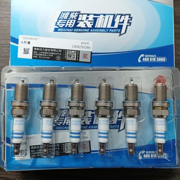 Weichai Engine Parts for Howo & Foton Diesel Trucks Spark Plug 1000450457