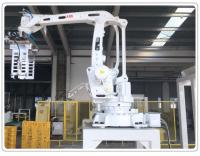 Sistema automático 3.67KW do robô da máquina de Palletizer do caso