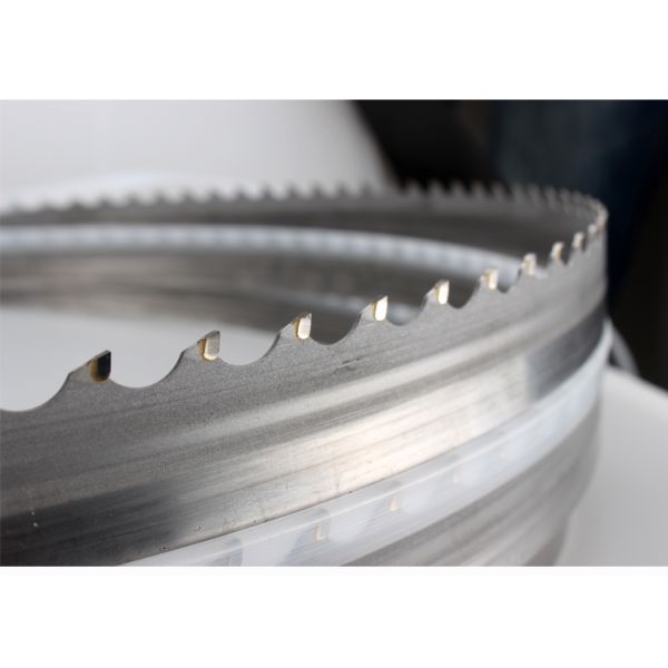 Customerized Size Gantry Alloy Wood Saw Blade for Woodworking Applications
