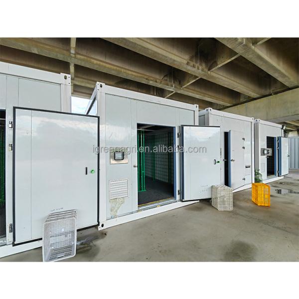 Single Span Greenhouse 20ft Agricultural Greenhouse For Mushroom Cultivation