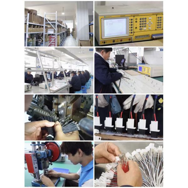 Wuhan Lanxu Technology Co., Ltd.