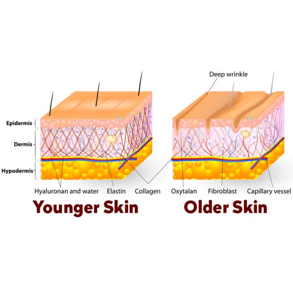 Electroporation Facial Cosmetic Laser Equipment Skin Rejuvenation Needle Free Mesotherapy