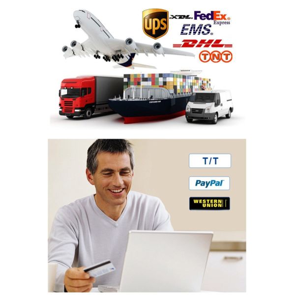 Charm Watch Customized LOGO Wood Watches For Ladies