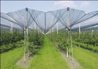 Hdpe Anti Bird Net / Anti Hail Nets anti UV , 10% Shade Factor