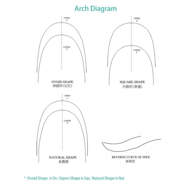 Proveedor de materiales dentales con alambre de arco activado térmicamente por Niti Ortodoncia