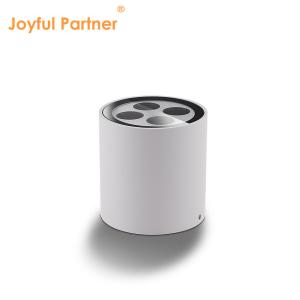 Outdoor Indoor Ceiling IP65 8w Surface Mounted Cylinder shape Cool White 4000K