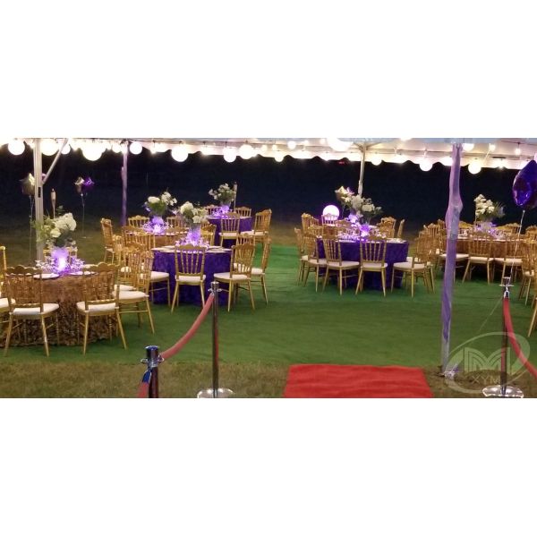 Spade Backrest Type Hotel Banquet Wedding Chair Gold Stainless Steel