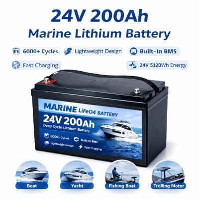 Trolling Motor Lithium Battery