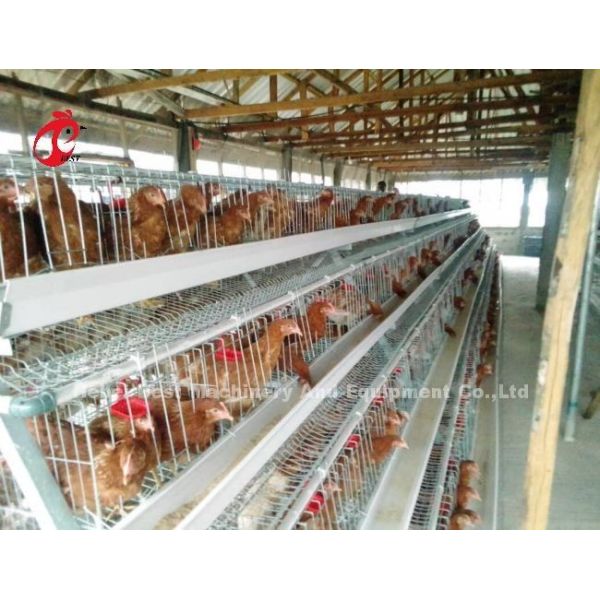 Сталь высокой системы клетки слоя гибкости горячая гальванизированная низкоуглеродистая в Африке Adela