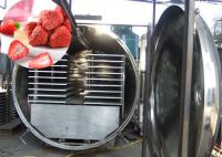Máquina de secagem por congelamento industrial de grande capacidade