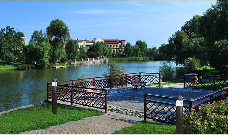 Aluminum Alloy Body Outdoor LED Bollard Lights 150°Distribution 70 CRI