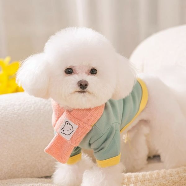 Pressure Relief Dog Wear Clothes Waterproof Breathable Dog T Shirt Custom Made