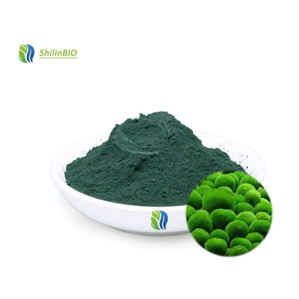 Chlorella Algae Powder 50%~60% Protein
