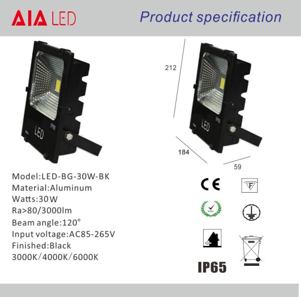 Outside IP65 waterproof COB 30W LED Flood light/LED garden light/led wall spotlight for hotel