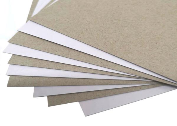 Packing / Printing used 250gsm Duplex Board Paper in Sheet or Reel