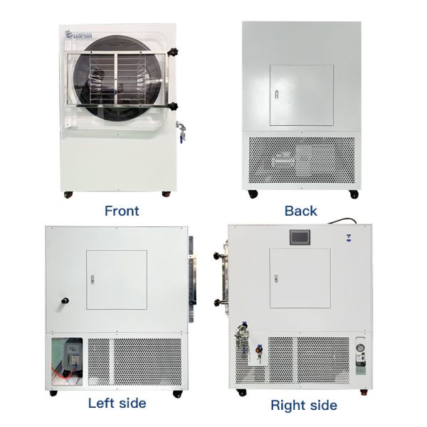 5M2 Strawberries Fruit Drying Machine Commercial Freeze Dryer for Pet Food Preservation