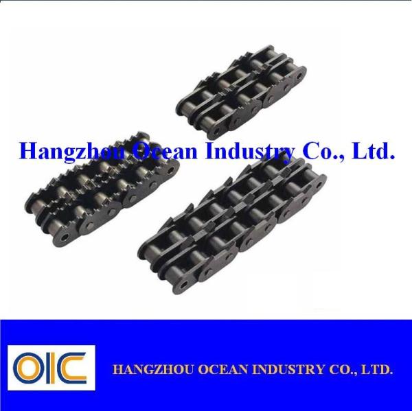 10 Feet Roller Chain Power Transmission Chains with Maximum Speed of 1000 RPM and Speed Performance