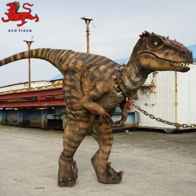 Fato de Velociraptor Animatronic, Fato de Dinossauro Adulto Artificial