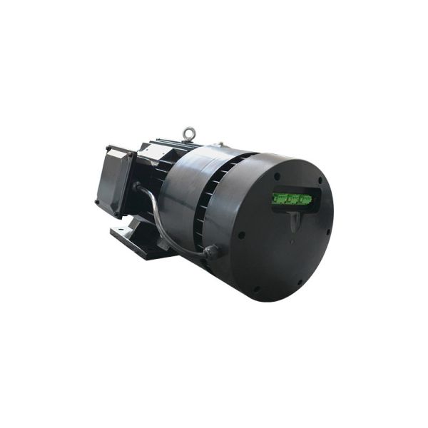 380V Rare Earth Permanent Magnet Motor Efficient Pmsm Electric Motor B3/B35