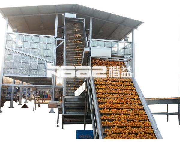 Turnkey project Automatic NFC orange juice production plant equipment factory machine with food grade material