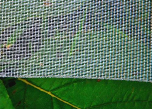 Greenhouse Anti Insect Mesh Netting Pure HDPE 50 Mesh 120 Gsm Insect Screen Mesh