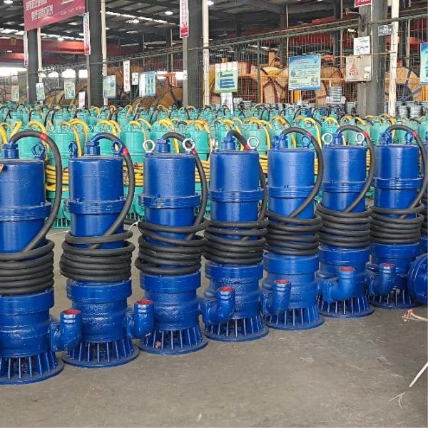 1.5kw-7.5kw Versatile Portable Submersible Pump For Drainage Irrigation  And Emergency Water Extraction