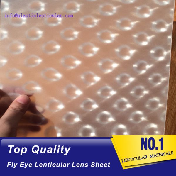 PLASTIC LENTICULAR PP materical 3d Fly eye lenticular film sheet with small dots at the surface