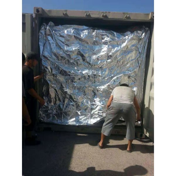 Aluminum Film 20FT Dry Bulk Liner Container Powder Transportion