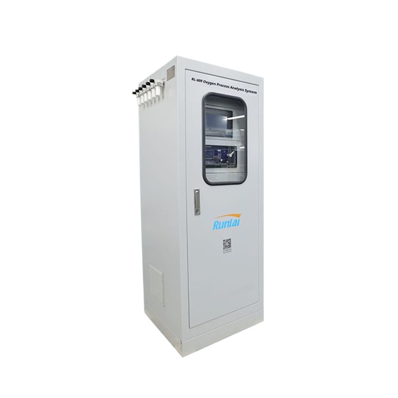 Explosion Proof Multi Gas Analysis System O2 CO CO2 CH4 CnHm H2S H2 NH3 DP
