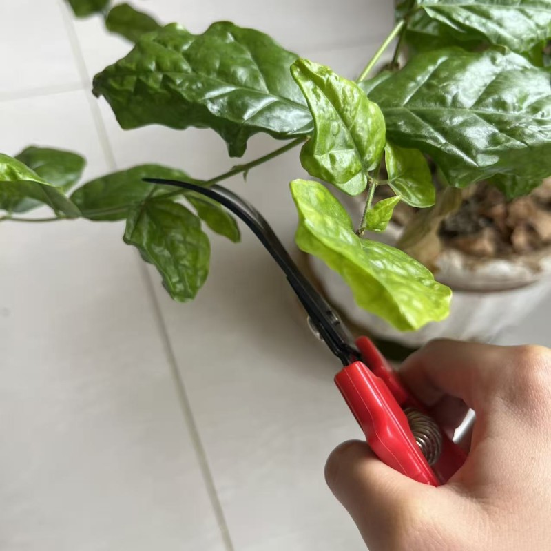 SK5 Steel Red Handle SK5 Blade Secateurs Garden Tool -59 garden pruning tools
