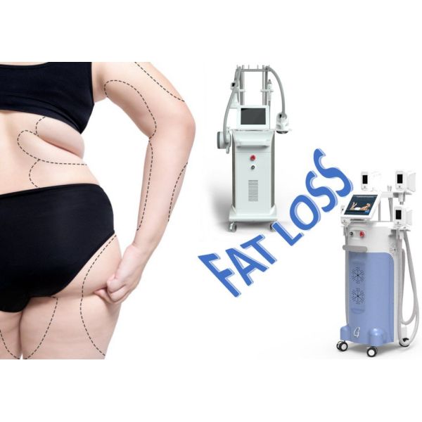 2019 China manufacturer four handles cryolipolysis machine for sale/cryolipolisis machine cryolipolysis