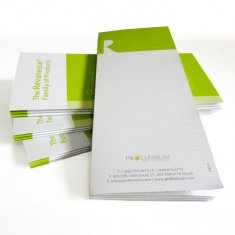 Promotional customized Full Colour Leaflet Colour Flyer Printing Services for advertising