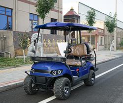 Custom Electric Golf Carts Electric Cart Golf with Front Disc and Rear Drum Brake System