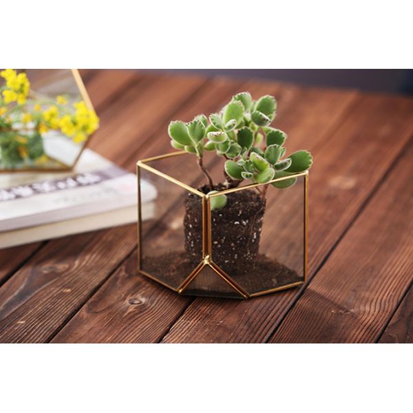 Geometric Cubic Moss Glass Homeware Flower Plant terrarium Planter Seamless Solder