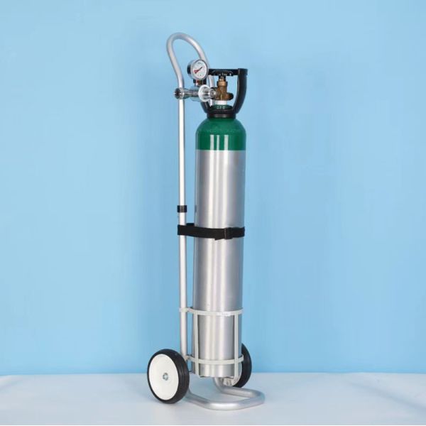 Portable Oxygen Cylinder with Regulator