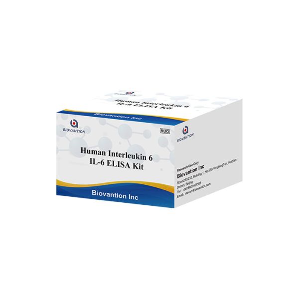 人間のInterleukin 6 RUOテスト キットのIL 6B細胞のStimulatory要因2 BSF-2 IFNB2