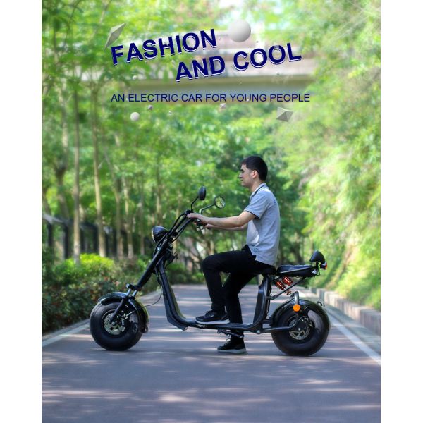 Ecorider 2 Wheel Electric Scooter 1500w EEC City Coco LED Turn Light With Fat Tire