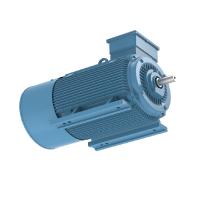 Tempo longo da frequência variável resistente do motor elétrico 10kw de ímã permanente da C.A.