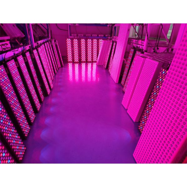 OEM Красный свет терапия полный корпус панели NIR 7 длин волн светодиодного света инфракрасного устройства