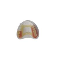 Impresora dental de goma Dental Laboratory de la corona 3D de la mirada natural PFM