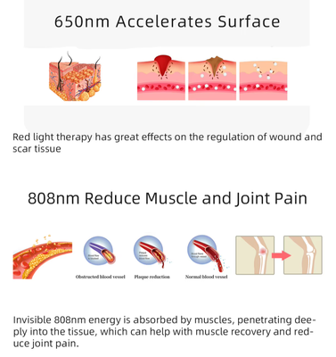 HSY-HTP1660 Custom Handheld Red Light Therapy Device for Pets